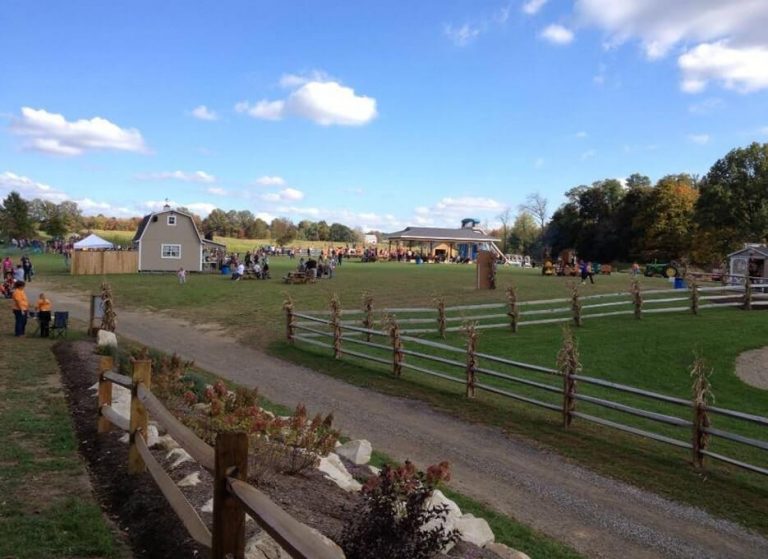 Mercer County Corn Maze Season Returns in September 2026