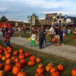 Unleash Your Fears: Experience the Thrills of the “Trail of Fear" at Coolspring Corn Maze!