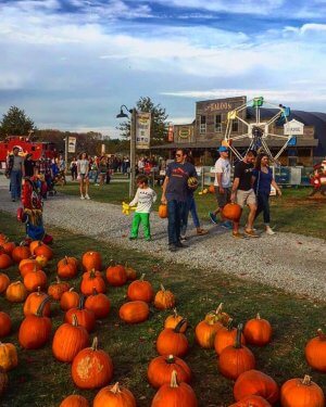 Unleash Your Fears: Experience the Thrills of the “Trail of Fear" at Coolspring Corn Maze!