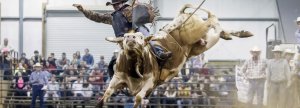 Sundance Arena Rodeo