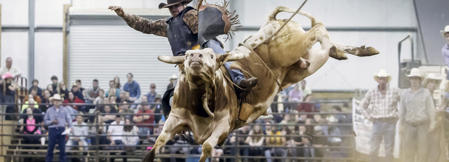 Sundance Arena Rodeo