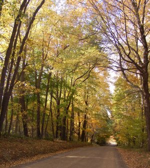 Fall Backroads, Fall Foliage Tours