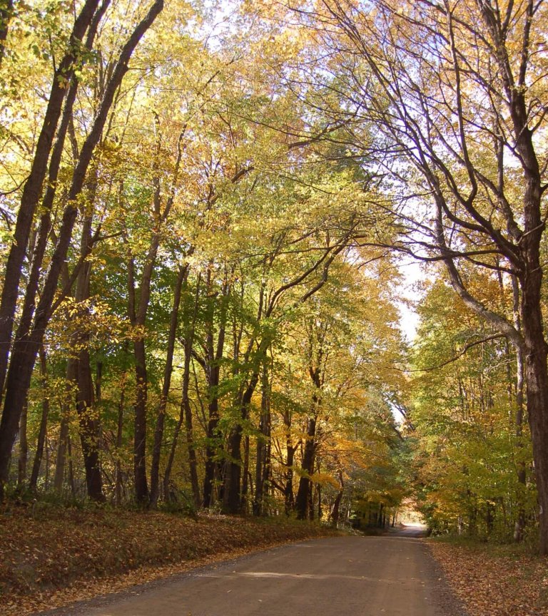 Mercer County, PA, Is the Place to Experience Fall Foliage: Here Are a Few Tips