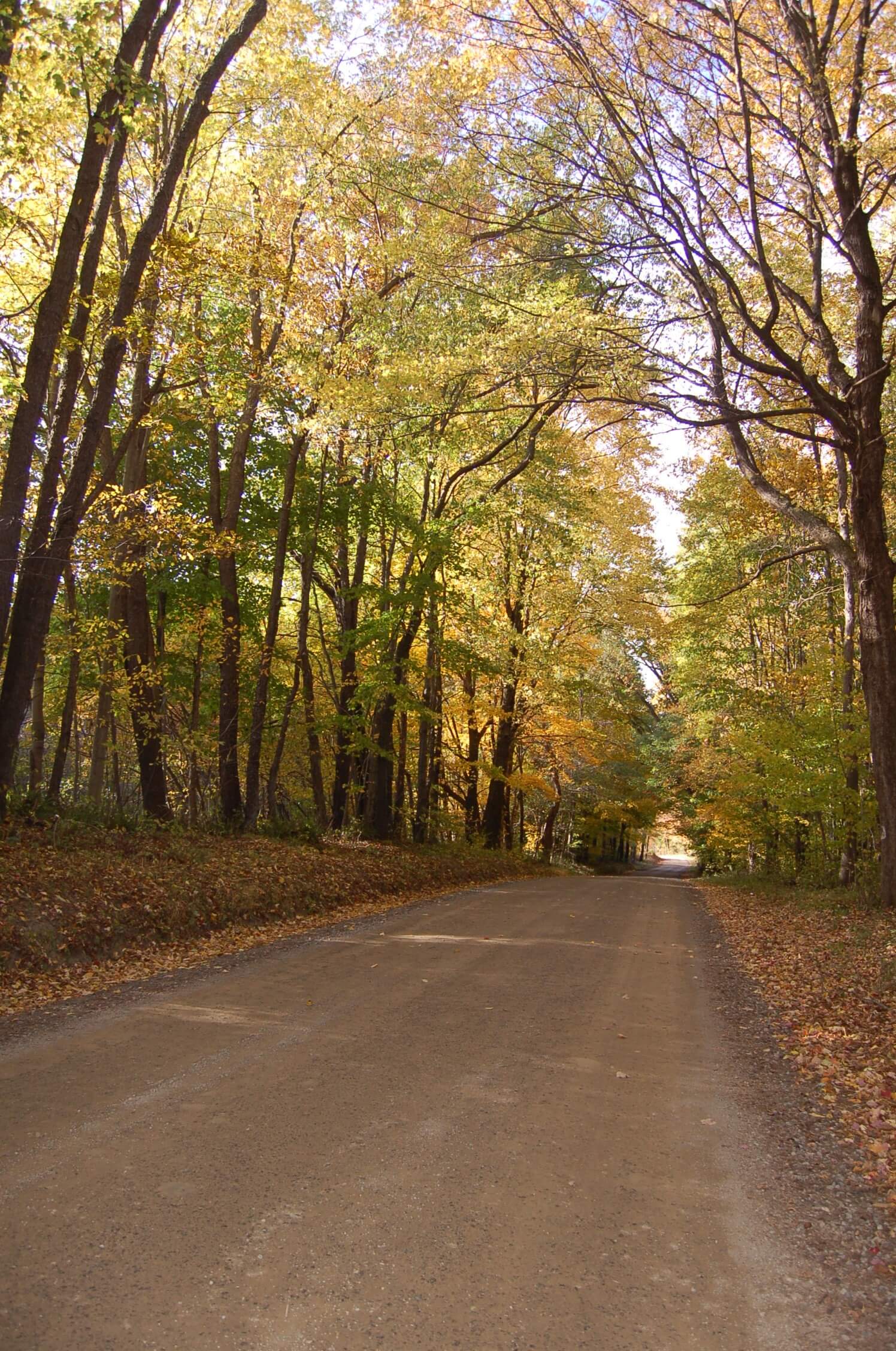Best Fall Foliage drives midway between Pittsburgh and Erie Visit