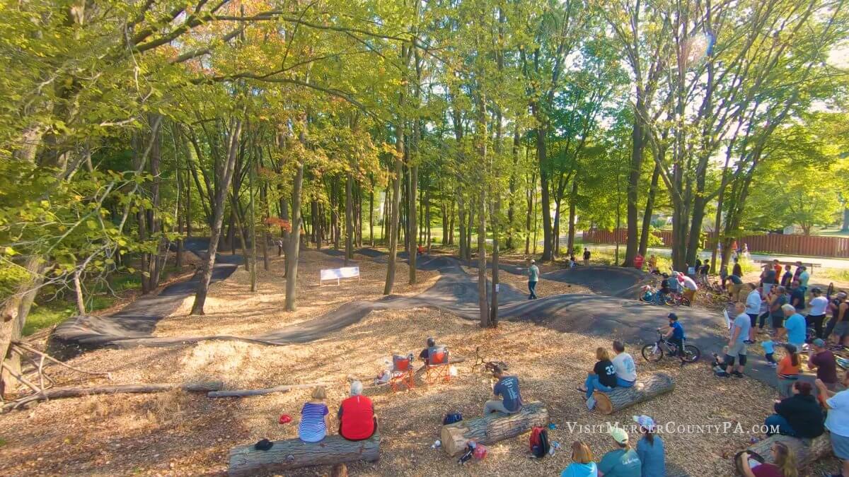 Enjoy the Excitement of Pump Track Biking at Buhl Farm Park! Visit