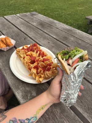 Outdoor picnic table with plates of food: loaded potato chips with ketchup, a wrapped hot dog with lettuce and onions, and fried chicken tenders.
