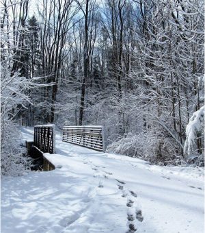 Snow-covered wooden bridge in a winter forest, with footprints leading across a snow-blanketed path