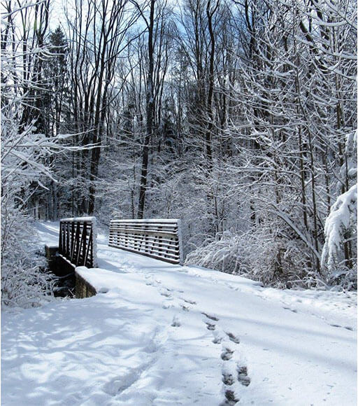 Winter and Snow Activities