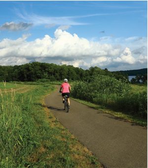 A person biking on a narrow paved trail through a grassy countryside under a bright blue sky with white clouds.