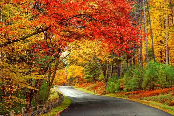 Fall Foliage 2023: Top Tips for Visiting Mercer County, PA