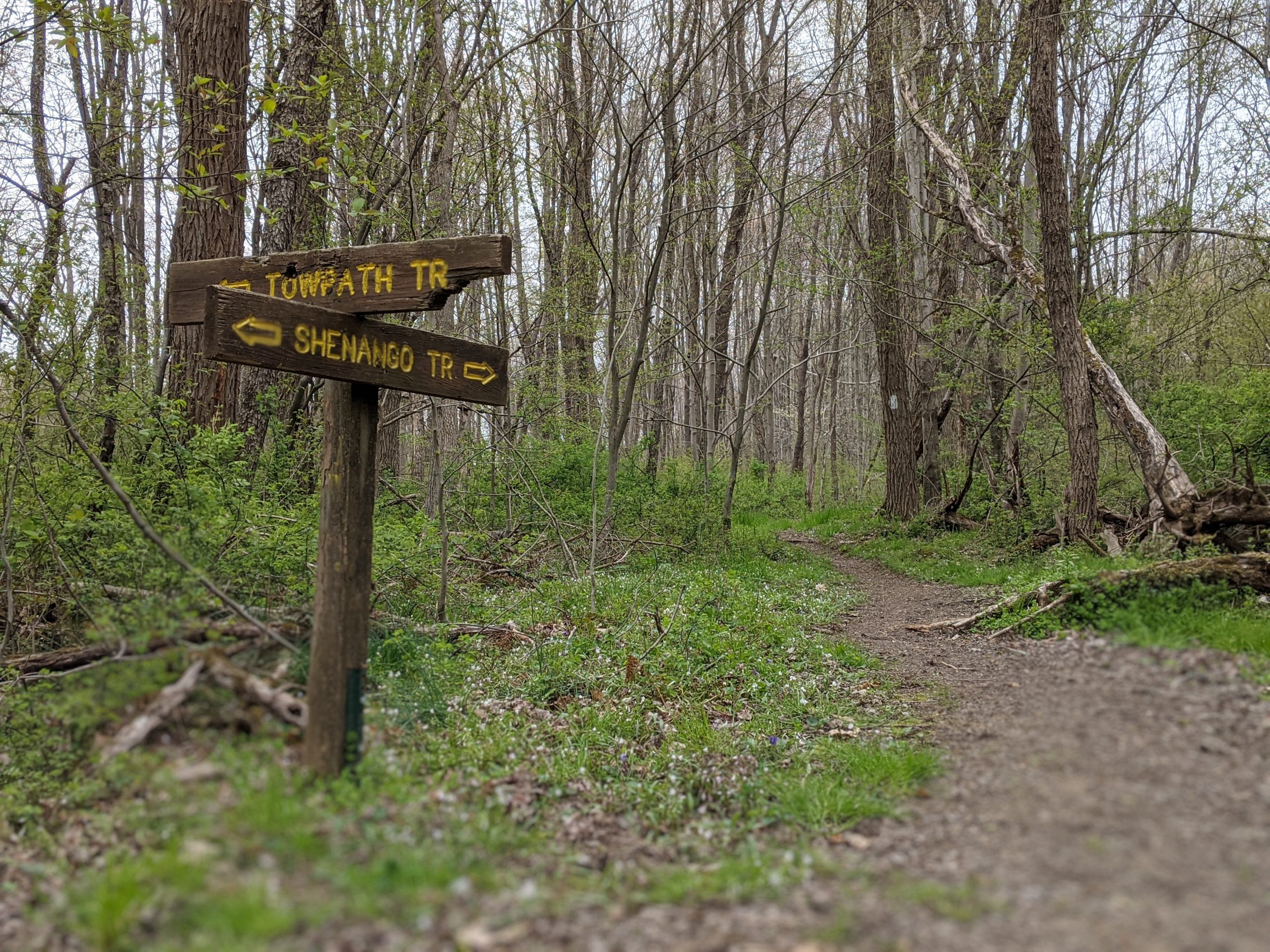 Join us for the Shenango River Watcher’s “Where the River Runs” 10-Mile Trail Race in May!