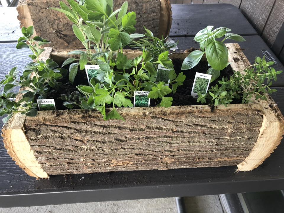 Rustic Herb Planter: Take ‘n Make