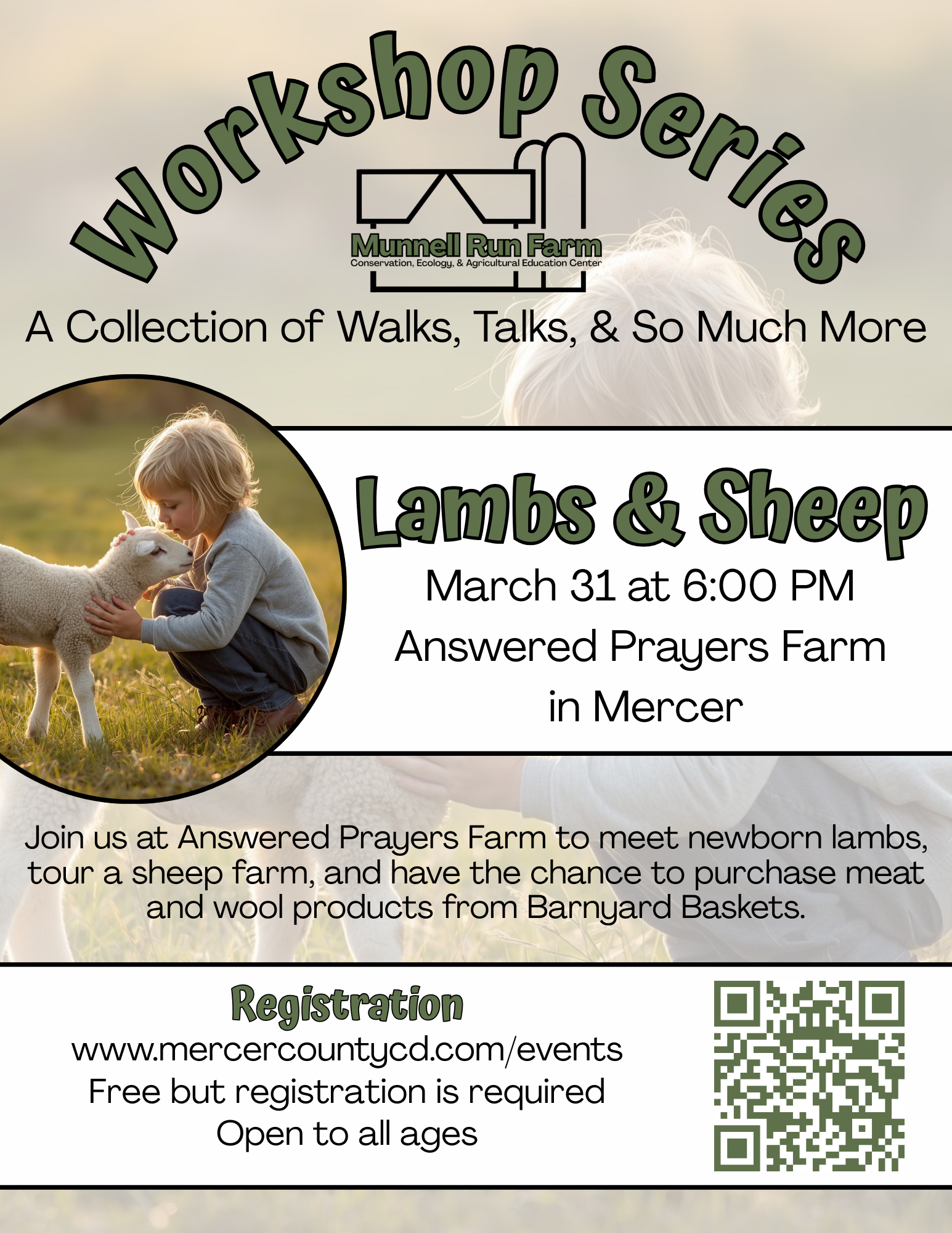 Lambs & Sheep
