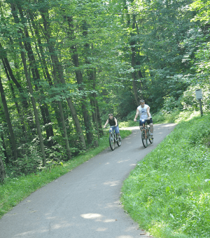 Two people ride bikes on a winding forest trail with tall trees and green grass on either side.