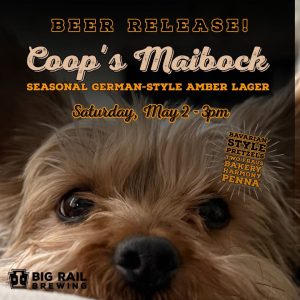 Poster advertising Big Rail Brewing's Coop's Maibock beer release (seasonal German-style amber lager) with date May 2, 3pm; close-up of a fluffy dog's face foreground.