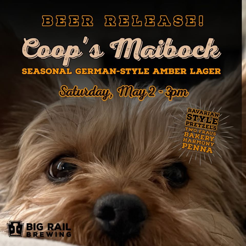 Poster advertising Big Rail Brewing's Coop's Maibock beer release (seasonal German-style amber lager) with date May 2, 3pm; close-up of a fluffy dog's face foreground.
