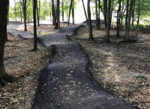 Winding, dark gravel trail meanders through a sunlit forest, with fallen leaves scattered on the surface.