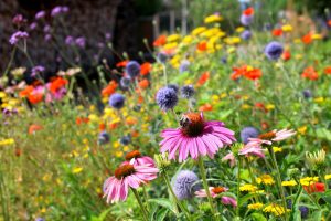 Spend the Season at DJ’s Greenhouse & Gardens in Mercer County