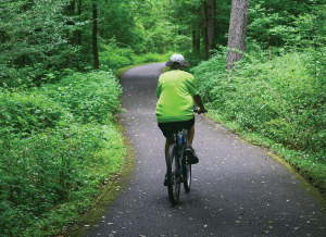 Person wearing a neon green shirt and helmet rides a bicycle along a paved forest trail, surrounded by lush green trees and plants on both sides to create a shaded path.