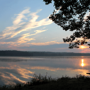 Sunset over a calm lake with a golden reflection on the water and dark silhouettes of trees along the shore.