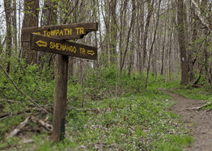 Wooden trail sign in a forest pointing to Towpath Trail and Shenandoah Trail.