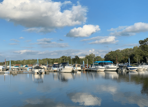 Marina with multiple boats docked along piers, reflecting a blue sky with scattered clouds.