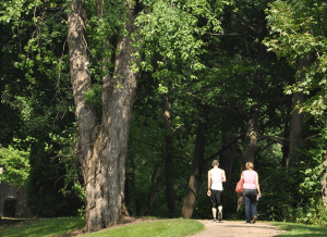 Two people walk away along a sunlit park path, surrounded by tall trees and green foliage.