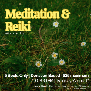 Poster on a grassy field advertising 'Meditation & Reiki' with Kim Frei; includes event details and website at bottom.