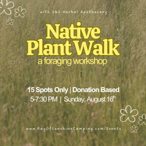 Poster for Native Plant Walk foraging workshop by S&S Herbal Apothecary, on a grassy background.