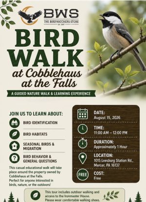 Poster promoting a Bird Walk at Cobblehaus; features a perched black-capped bird on a branch with green leaves.