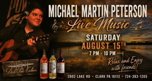 Promotional poster for Michael Martin Peterson’s live music show with a guitarist by a sunset lake backdrop, August 15, 7–10 PM at Dock Side Cellars.